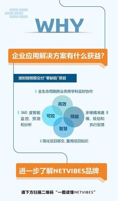 一圖讀懂NETVIBES 重資產(chǎn)項目數(shù)據(jù)智能與企業(yè)技術咨詢服務